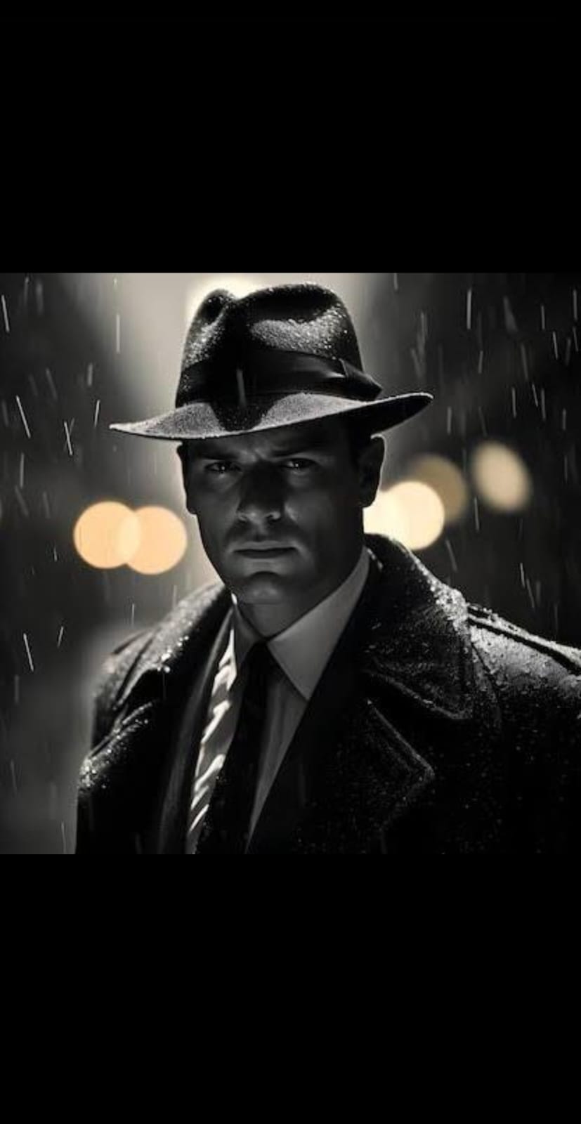 9wickets-sub-admin-touhid-afridi