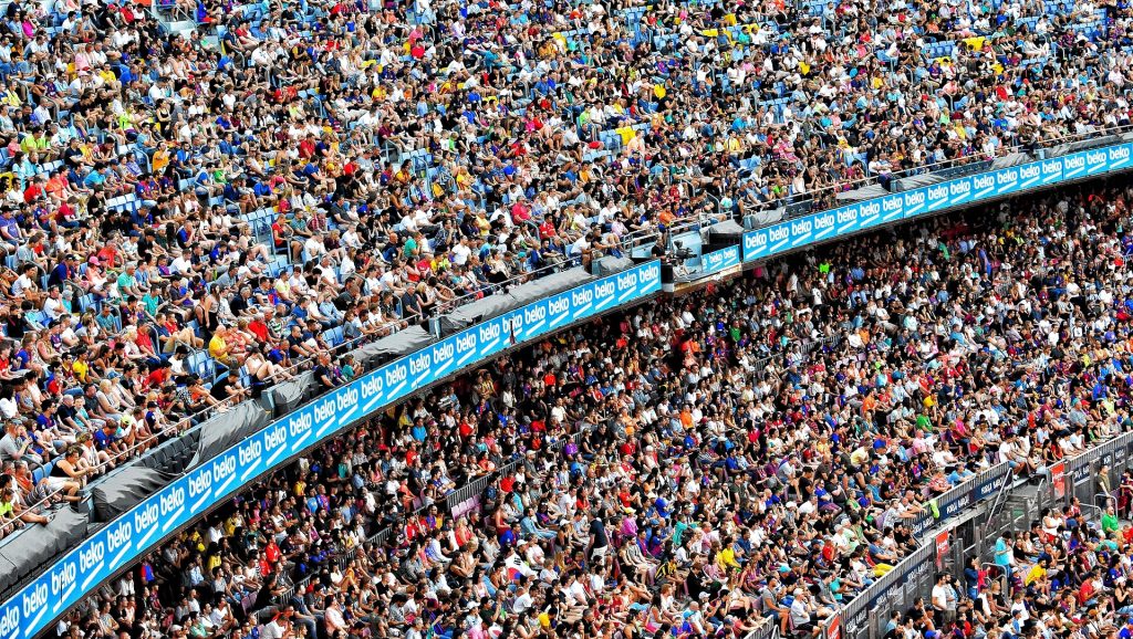 IPL Cricket Betting